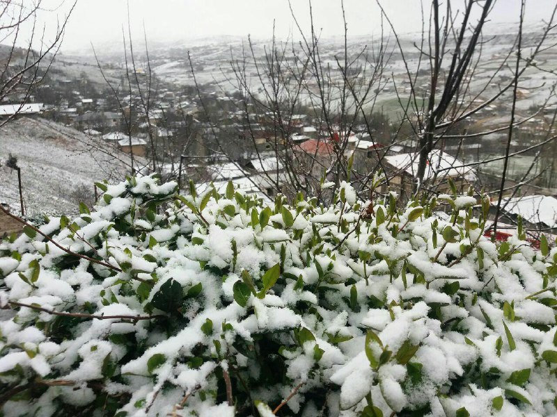 بارش برف بهاری درارتفاعات گیلان
