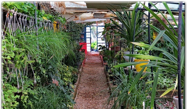 گلخانه فدک گچساران بزرگترین نمایشگاه گل و گیاه جنوب کشور