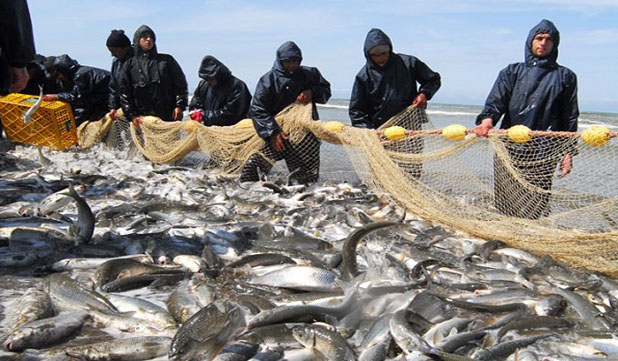 ايران ، رتبه دوم صيد ماهي در اقيانوس هند