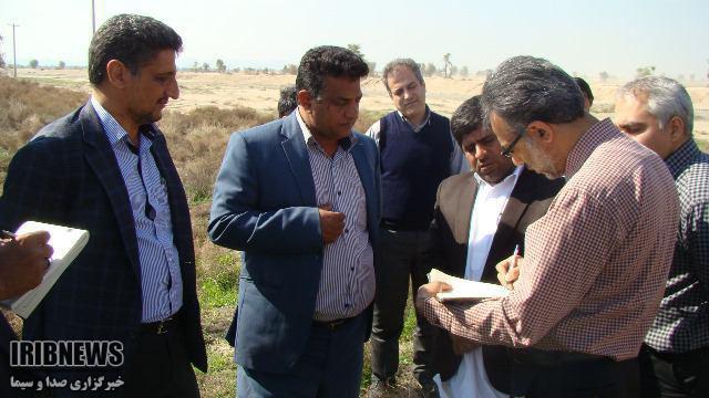 جنوب استان کرمان منطقه ای مهم در حوزه تولید محصولات کشاورزی