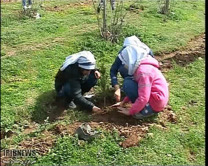 آغاز هفته درختکاری در کرمانشاه با غرس 25 هزار اصله نهال