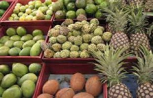 نابودسازی میوه های قاچاق ، روز چهارشنبه در حضور رسانه ها