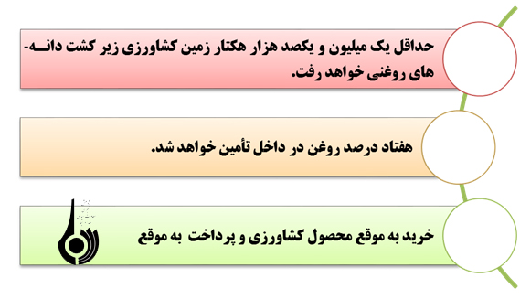 ضرورت حفظ کشت پایدار دانه های روغنی