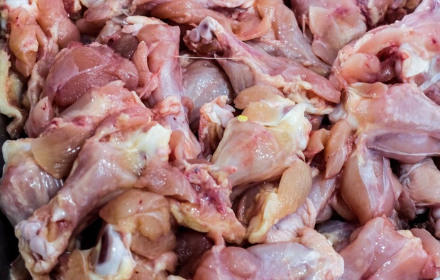 تولید 130 تن گوشت مرغ بدون آنتی بیوتیک
