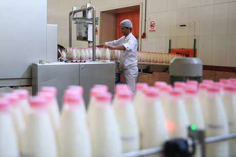 آغاز طرح بخشودگی جرائم تاخیر بدهکاران بانکی تا عرضه شیر با تاریخ غیر واقعی