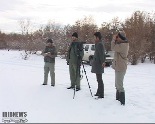 سرشماری پرندگان آبزی و کنار آبزی زنجان