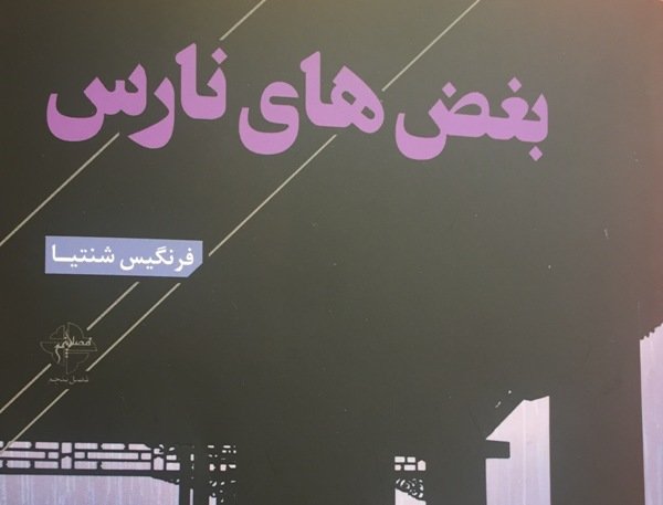 چاپ کتاب «بغض‌های نارس» در شیراز