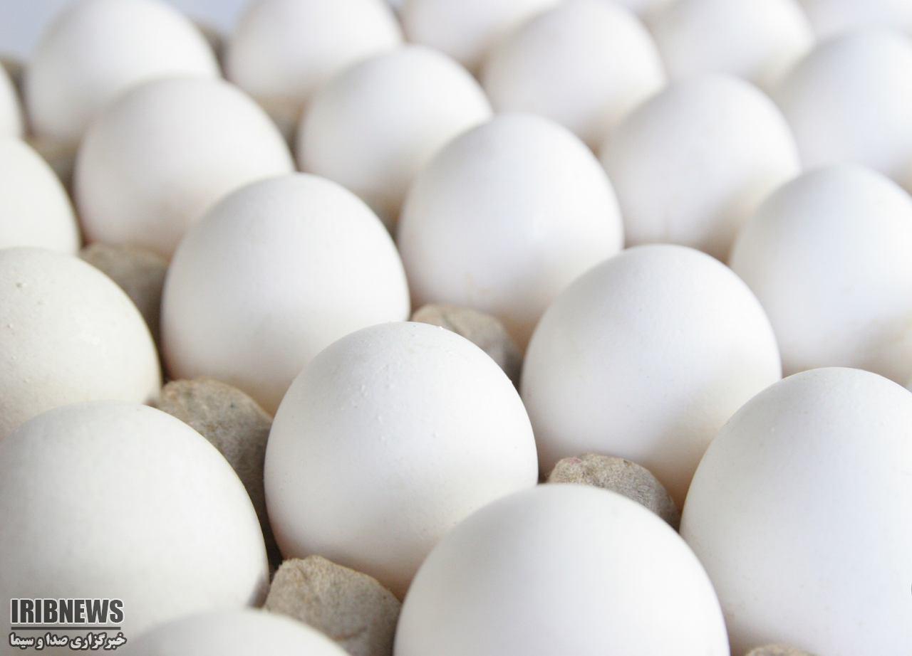 کشف و ضبط یک تن تخم مرغ فاقد مشخصات بهداشتی