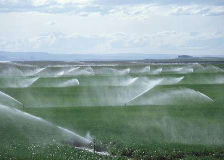 تجهیز شدن 36 درصد مزارع آبی استان کردستان به سامانه های نوین آبیاری
