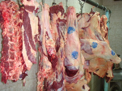 توزیع گوشت منجمد در در بازار مشهد به قیمت مصوب
