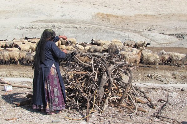 کمبود آب و علوفه برای نیمی از عشایر کوچ رو گچساران