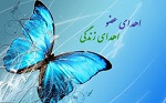 زندگی دوباره 4 بیمار با اهدای اعضا بیمار مرگ مغزی