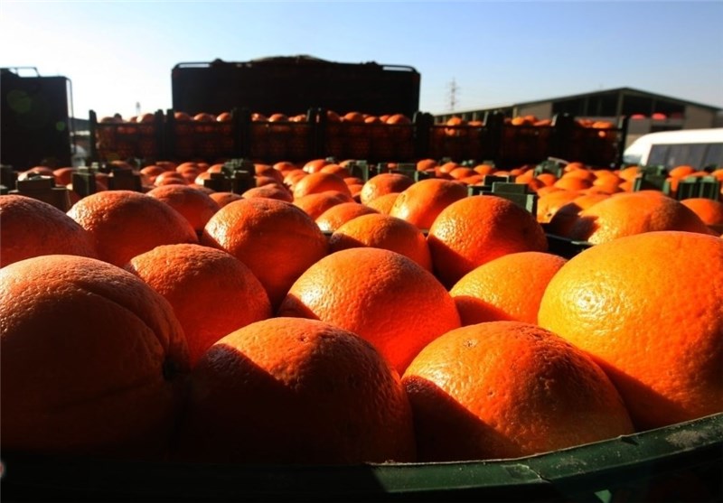 ذخیره میوه برای شب عید در استان فارس