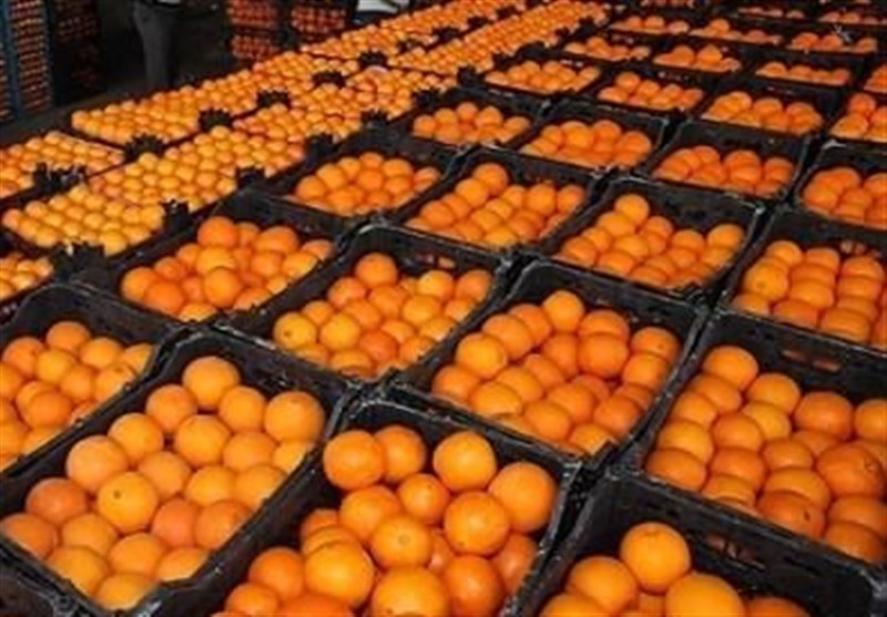 ذخیره میوه برای شب عید در استان فارس