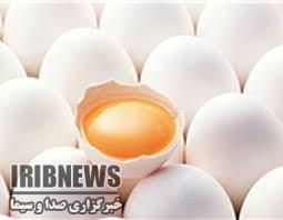 تولید روزانه شش تن تخم مرغ در نیمروز سیستان و بلوچستان