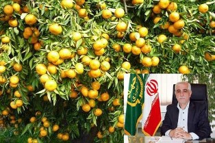 پرداخت نخستین مرحله کمک بلاعوض به باغداران خسارت دیده مازندران