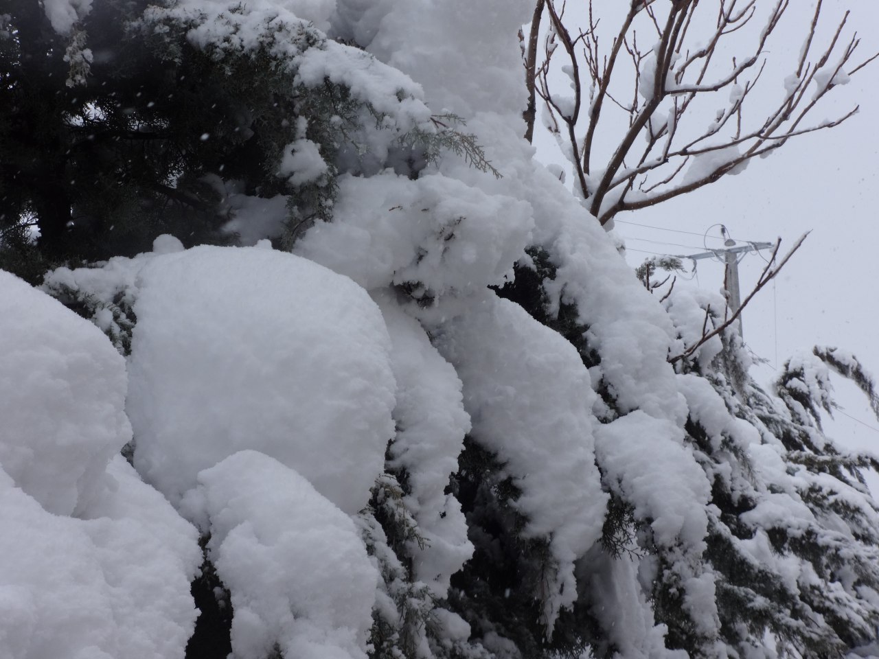 برق 10 روستای روانسر قطع شده است