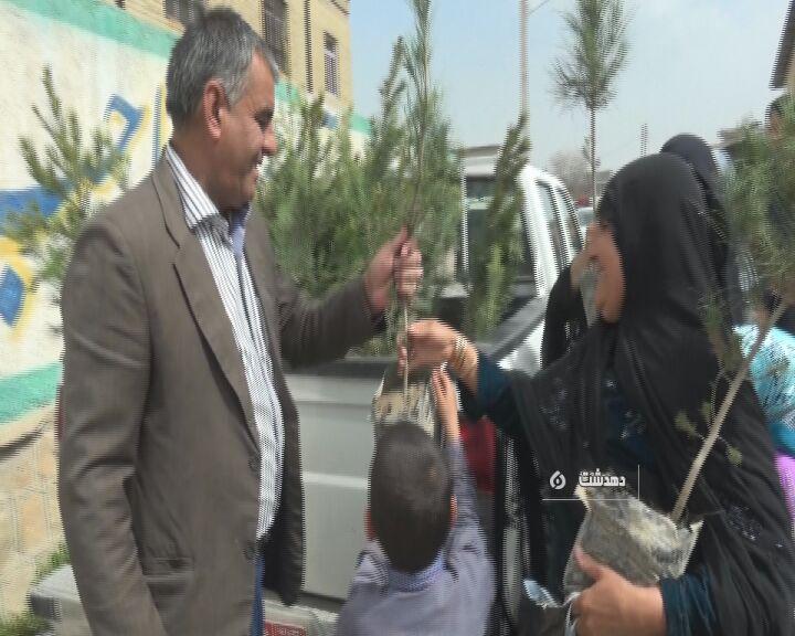 توزیع نهال رایگان بین نمازگزاران شهرستان کهگیلویه+عکس