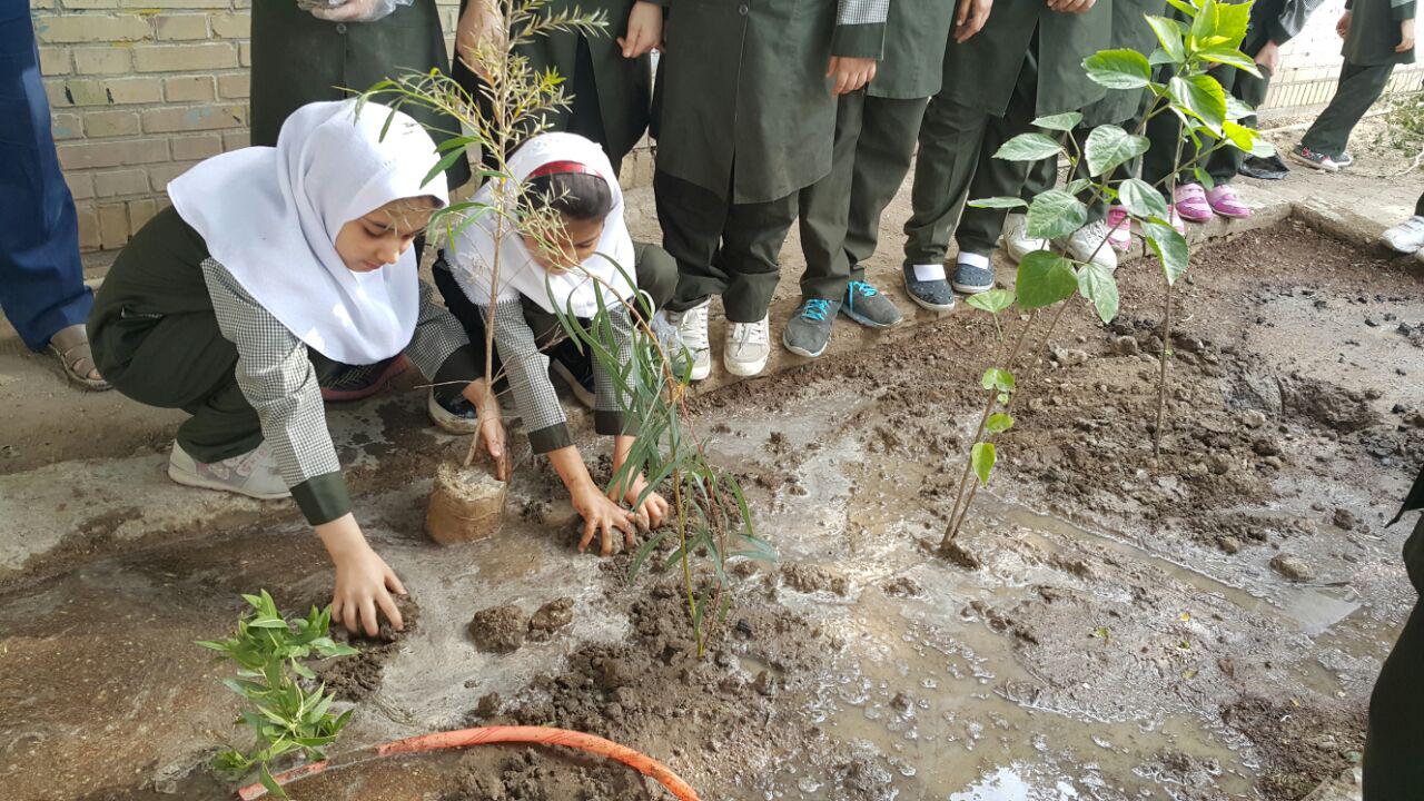 کاشت 300 اصله نهال درآبادان