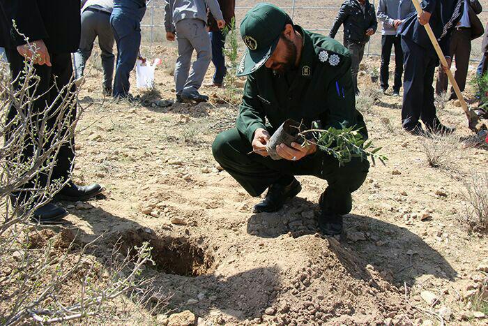 آغاز بیابان زدایی در یزدان اباد