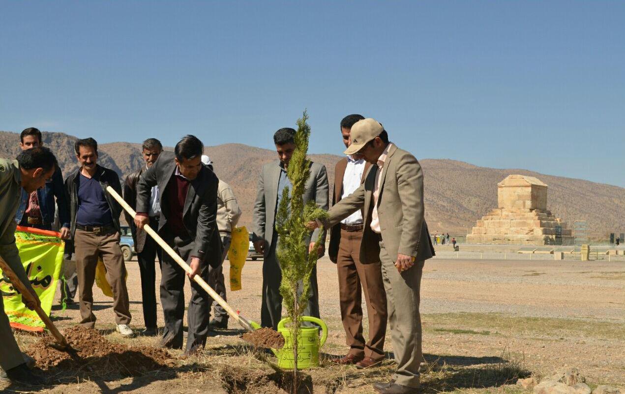 درختان سرو ناز و زیبایی مجموعه جهانی پاسارگاد