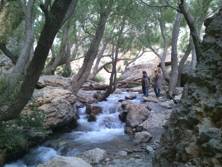 سفربه سپیدان؛ رنگین کمان رنگ یافته از مهر خداوندی