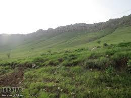 ممنوعیت چرا در مراتع آذربایجان غربی تا پایان بهار