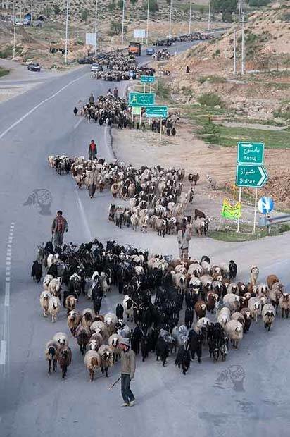 جاده های خطرناک ، بلای جان عشایر کوچ رو