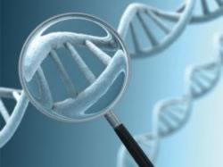 پیشرفت در تحقیقات سرطان ؛ دستاورد علم ژنتیک