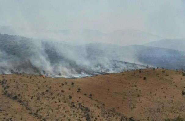 درخواست کمک برای مهار آتش سوزی در منطقه جنگلی گردنه خرسی پاسارگاد