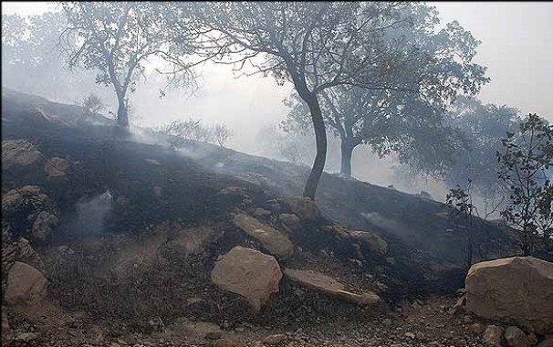 مهار آتش سوزی جنگل ها و مراتع بخش کبکیان بویراحمد