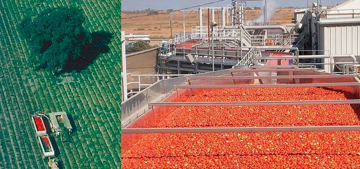 افزایش 10 درصدی صادرات رب گوجه فرنگی از فارس