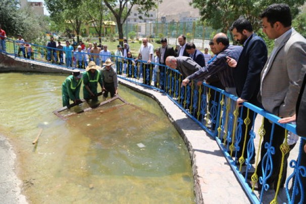 سرپرست دادسرای جنایی: کارشناسی پرونده حادثه کوهسار ادامه دارد