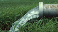 مصرف واقعی آب در بخش کشاورزی 20 تا 30 میلیارد مترمکعب است