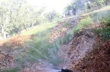 هدر روی 35 درصدی آب در روستاهای شهرستان کهگیلویه