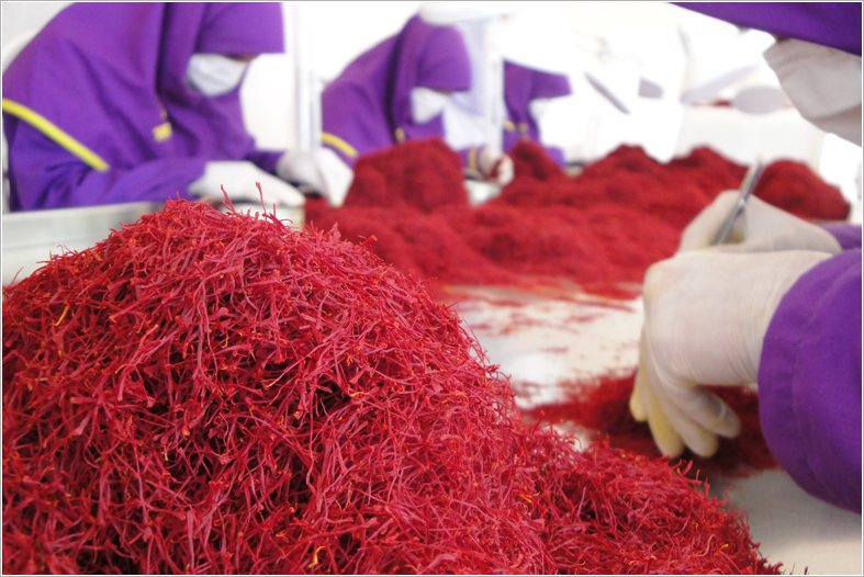 افزایش 40 درصدی صادرات زعفران از خراسان رضوی