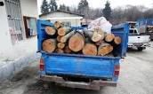 کشف چوب  قاچاق در کردکوی