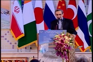 ولایتی: ایران همسو با چین موافق احیاء جاده ابریشم