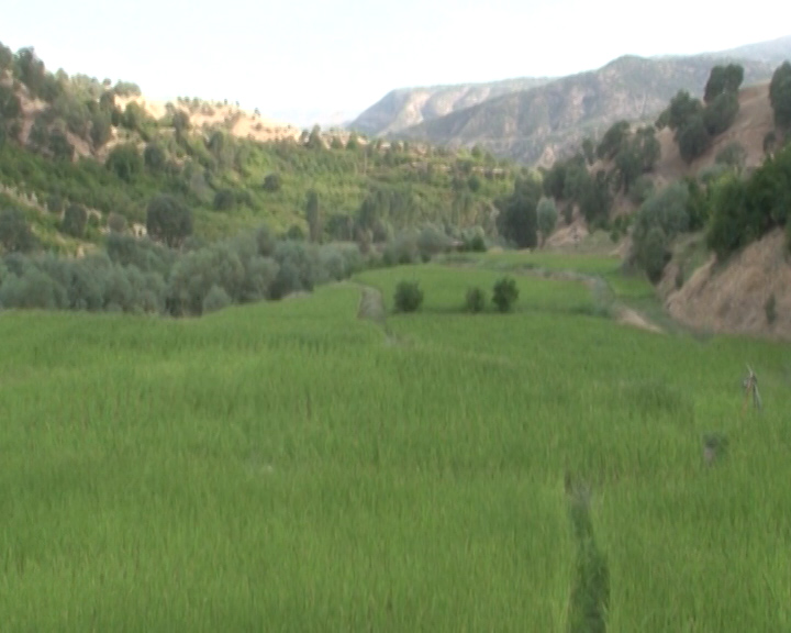 آغاز اجرای طرح تنوع زیستی در روستای سبز دوپلان