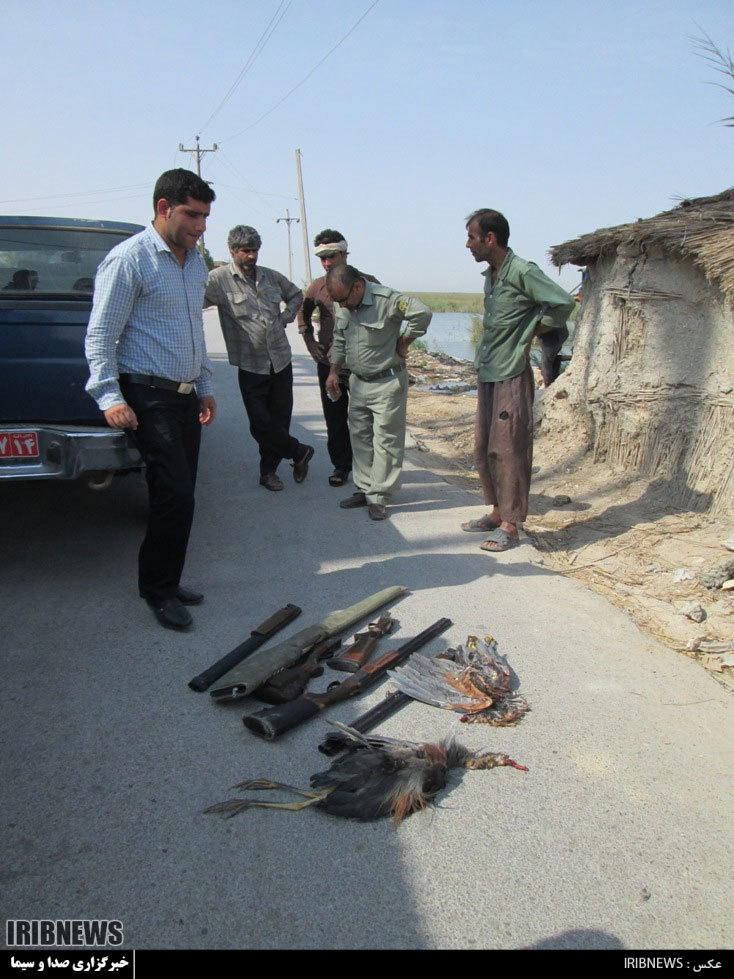 دستگیری 4 متخلف شکار پرنده در تالاب شادگان