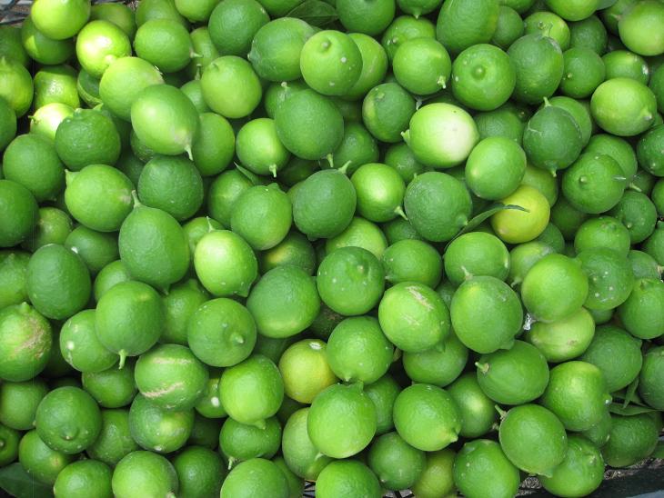 ارز آوری افزون بر 500 میلیارد تومانی صادرات لیمو از قطب تولید این محصول در فارس