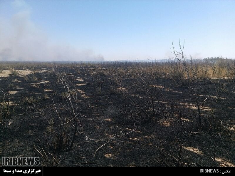 مهار آتش سوزی در تالاب بین المللی شادگان