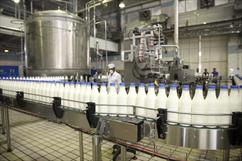 تولید شیر فراپاستوریزه (ESL) در شیراز