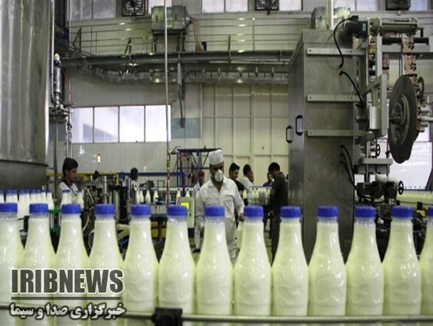 تولید سالانه 11هزار و 700 تن شیر در مهاباد