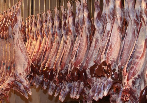 مجوز واردات گوشت قرمزصادر شده است