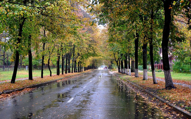 تداوم بارش باران در گیلان