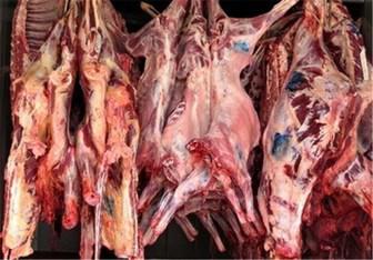 کشتارکنندگان و توزیع کنندگان گوشت قرمز شناسنامه دار می شوند