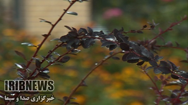 کاهش بارندگی در زنجان