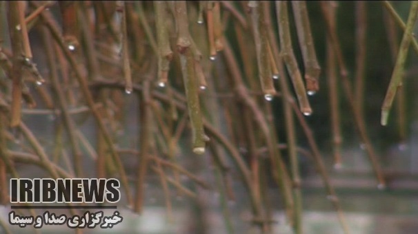 بارشها در زنجان 49 درصد کاهش یافته است .