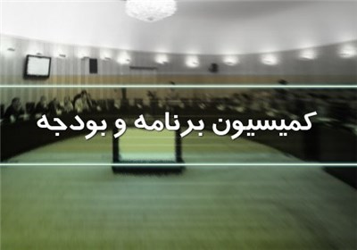 تصویب کلیات لایحه بودجه 96 در کمیسیون برنامه و بودجه